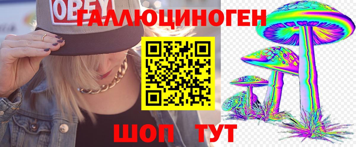 Галлюциногенные грибы мухоморы Старая Русса
